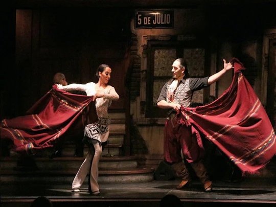 Aljibe Tango Earlier Show with private transfer and optional dinner