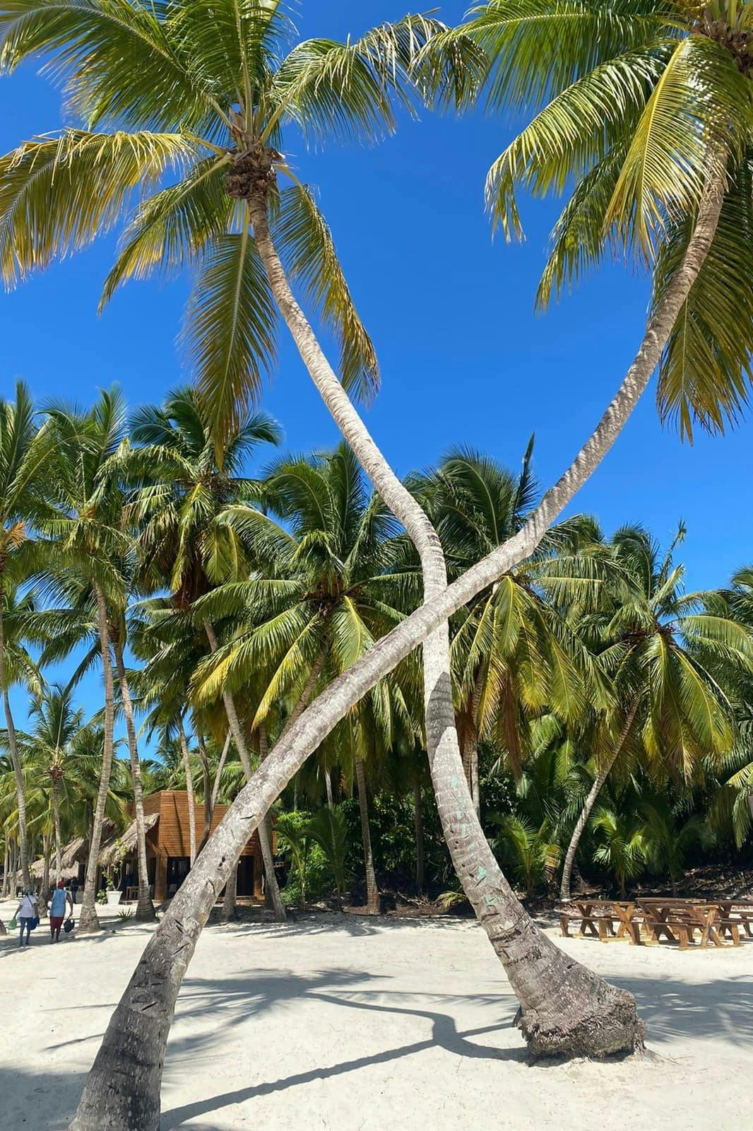 Saona Tour with VIP Lunch and Semi Submarine