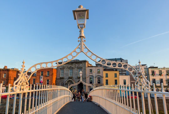 Explore Dublin's art and culture with a local