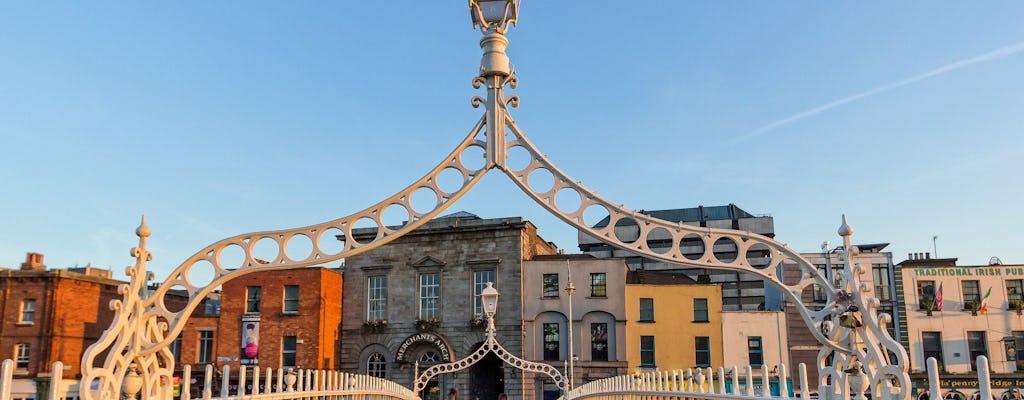 Explore a arte e a cultura de Dublin com um local