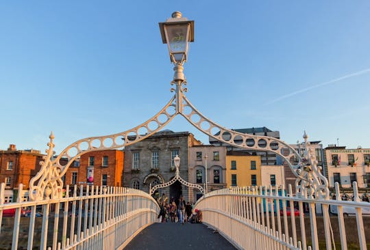 Poznaj sztukę i kulturę Dublina z miejscowym