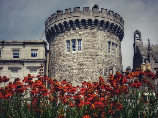 Exclusive private guided tour through the history of Dublin with a local