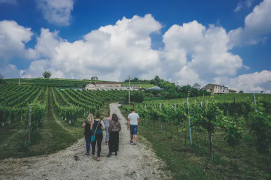 Prosecco-Weintour ab Venedig