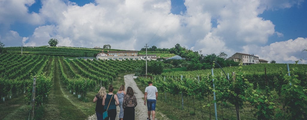 Tour de vinhos Prosecco saindo de Veneza