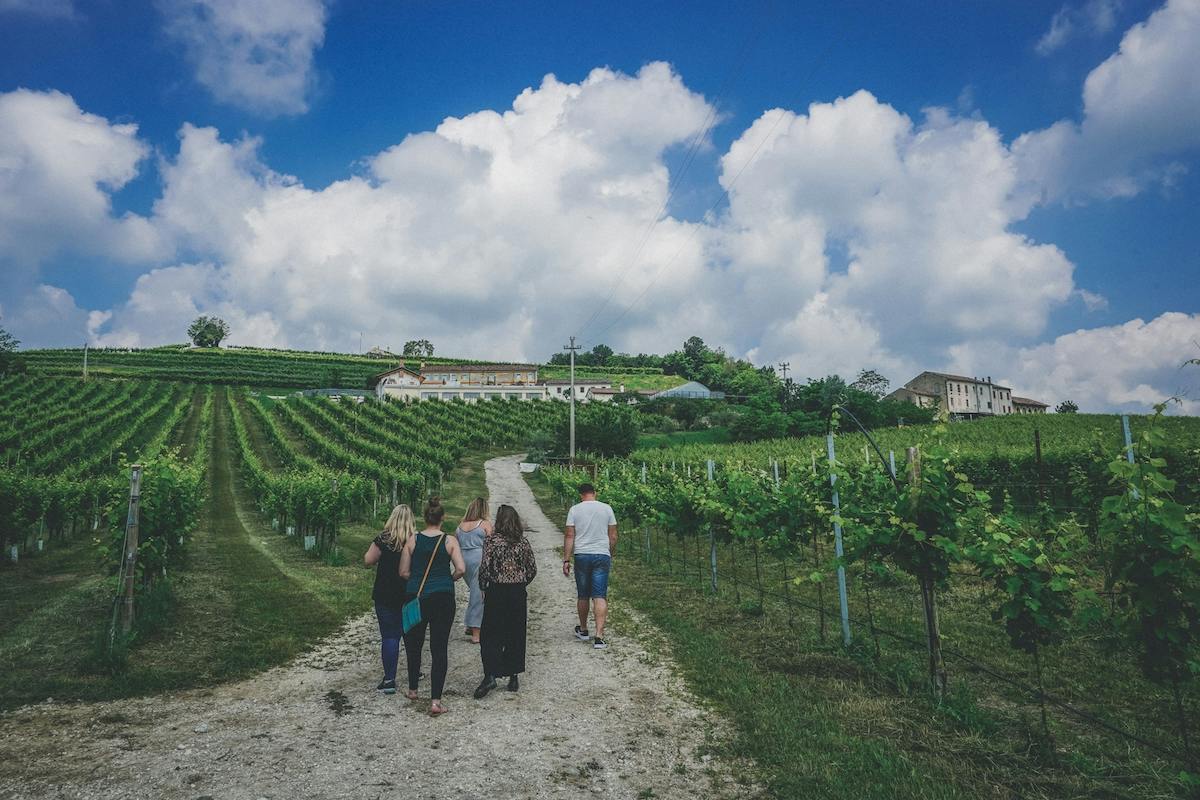 Tour del vino Prosecco da Venezia
