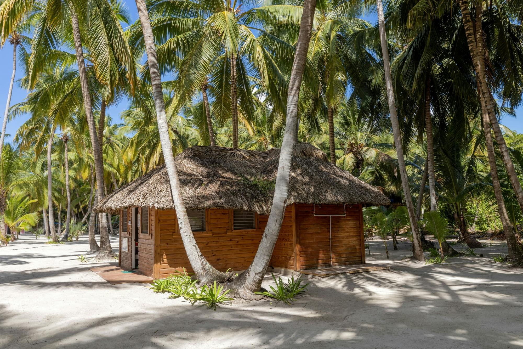 Saona Island Tour with Abanico Beach and Lunch