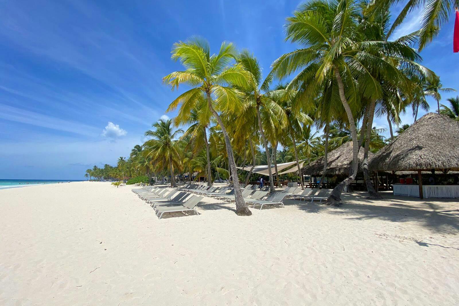 Saona Island Tour with Abanico Beach and Lunch