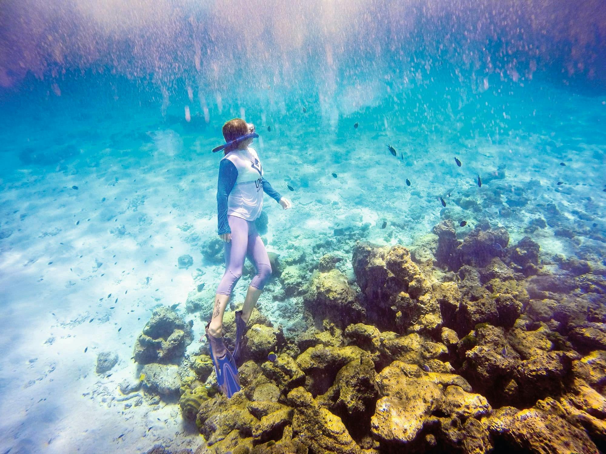 Similan Islands by Speedboat from Khao Lak