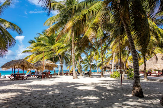 VIP Saona Island Tour with Abanico Beach