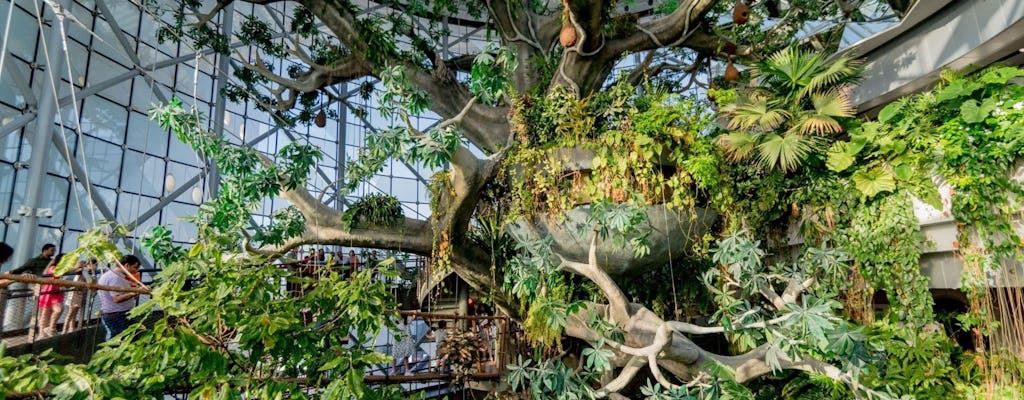 The Green Planet Dubai entrance ticket