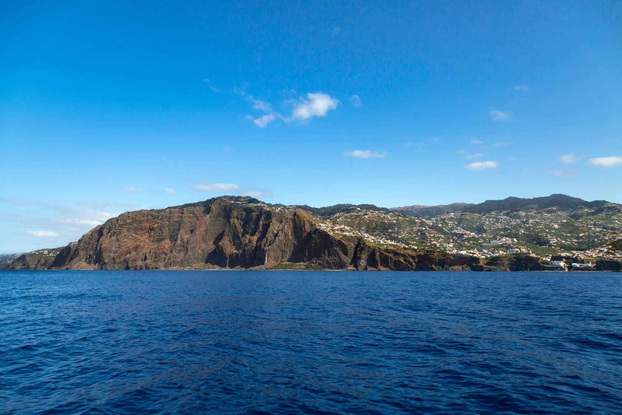 Living Sea Dolphin and Whale Watching Boat Trip