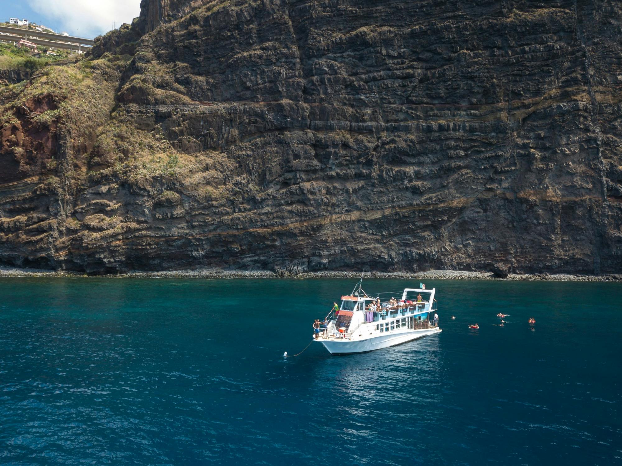 Living Sea Dolphin and Whale Watching Boat Trip