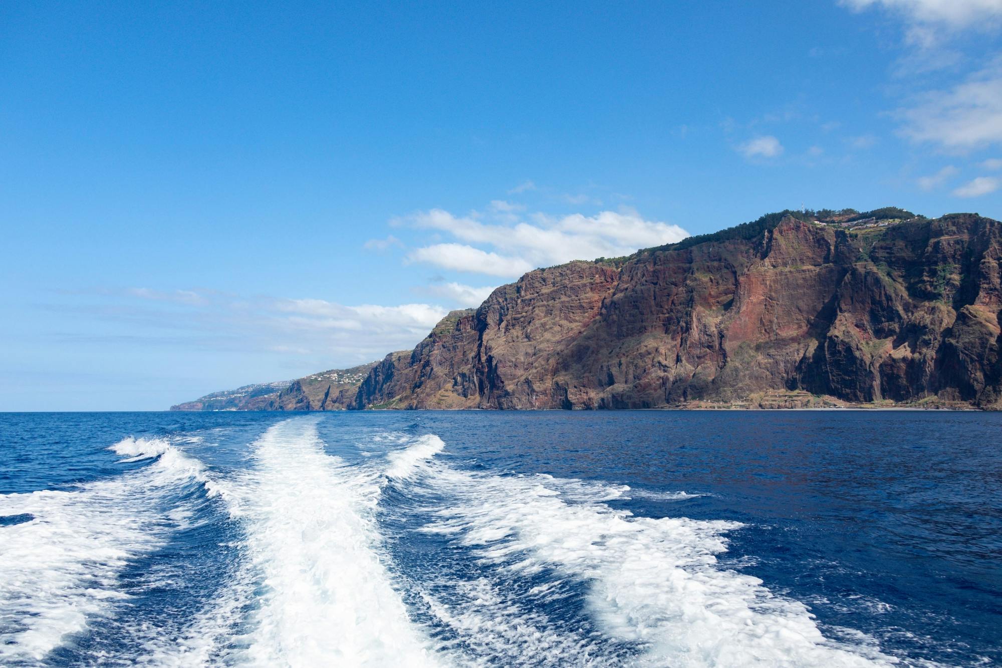 Living Sea Dolphin and Whale Watching Boat Trip