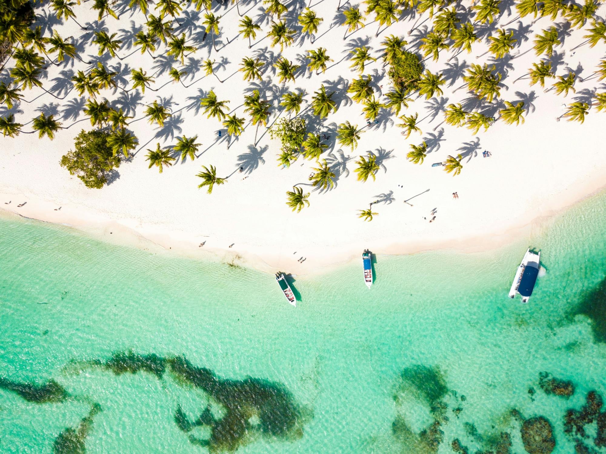Saona Catamaran Boottocht met Privé-Strand en Lunch