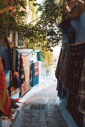 Day trip to Chefchaouen from Fes