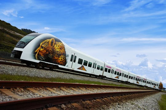 Treno dell'aeroporto KLIA Ekspres (ingresso diretto con codice QR)