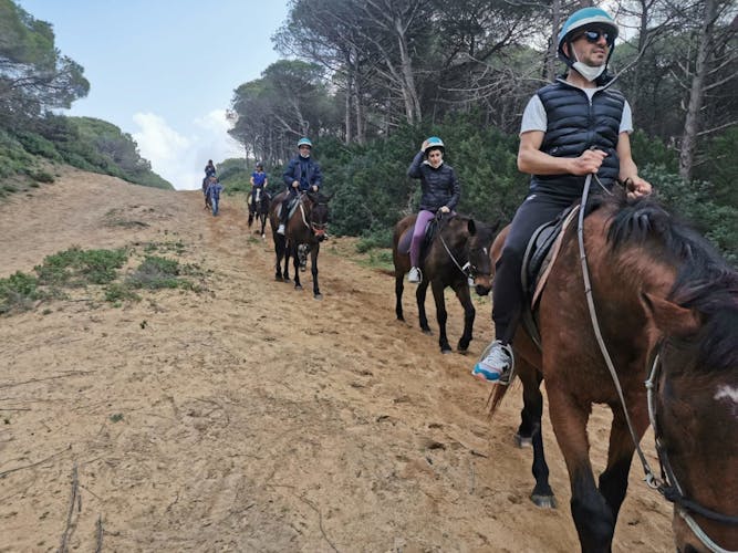 Horseback riding in Porto Ferro and Lake Baratz