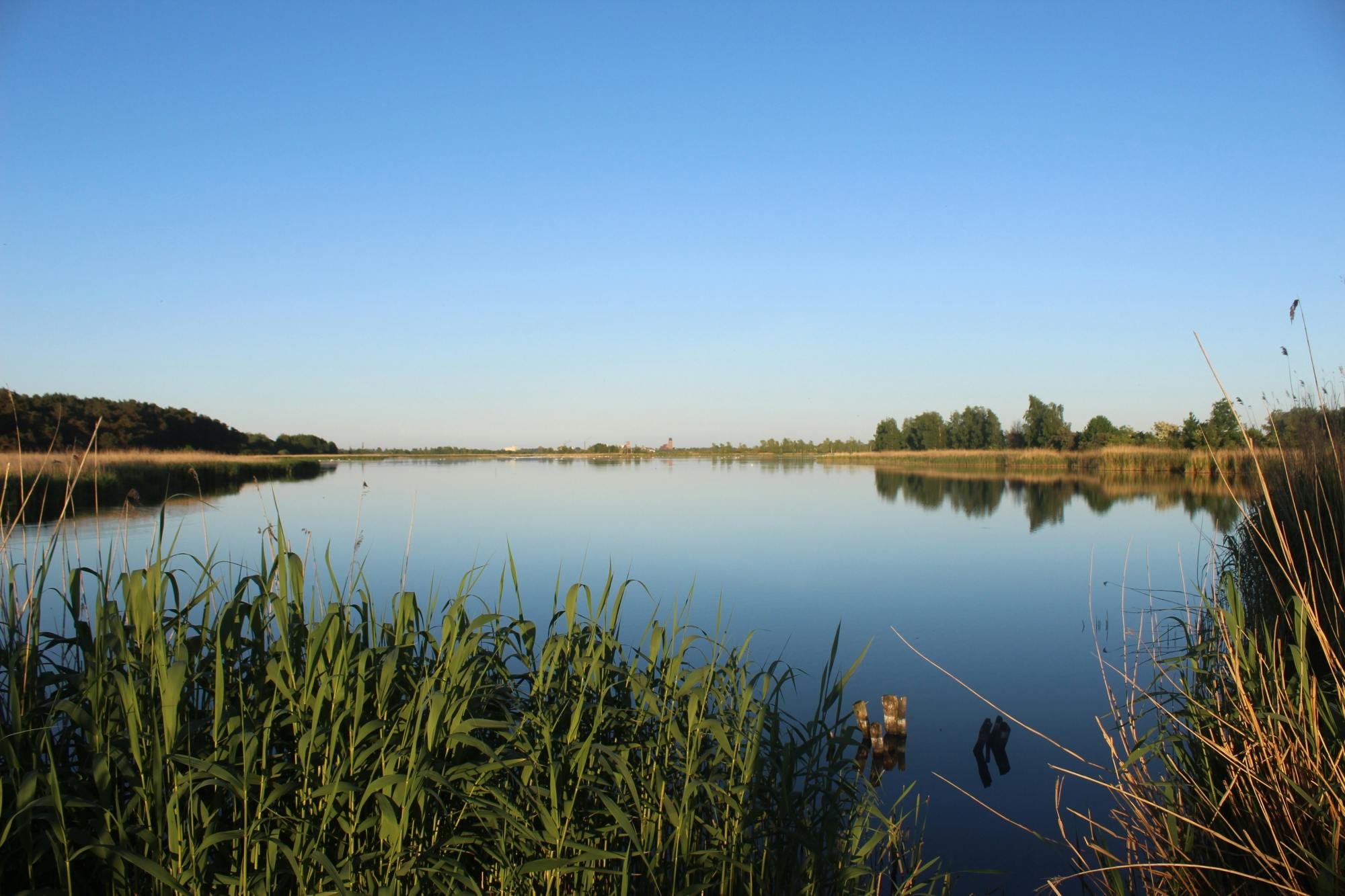 Hiking tour in the Peene Valley Nature Park