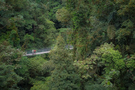 Arenal Hängebrücken & La Fortuna Wasserfall