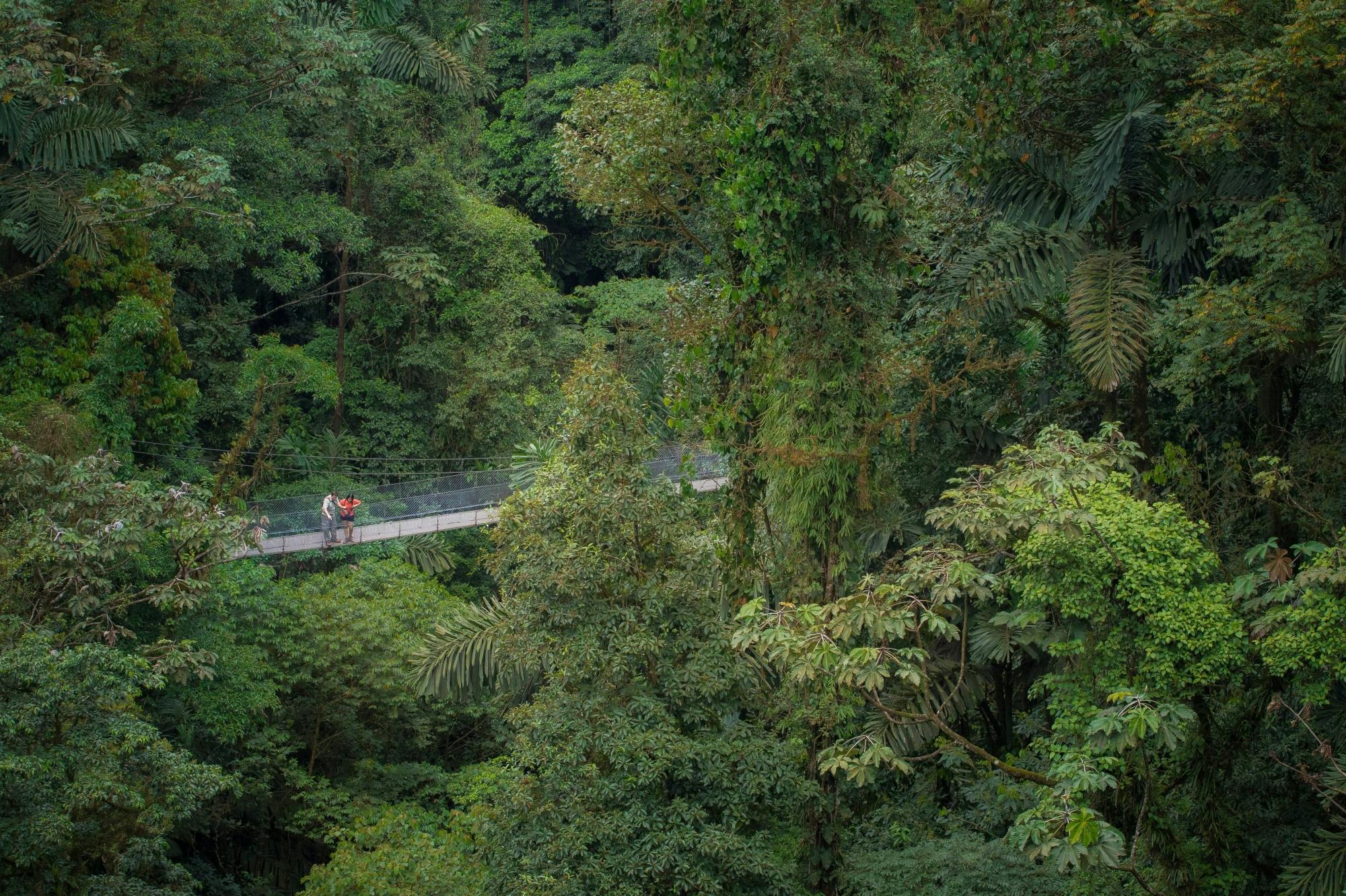 Puentes Colgantes del Arenal y Cascada de la Fortuna