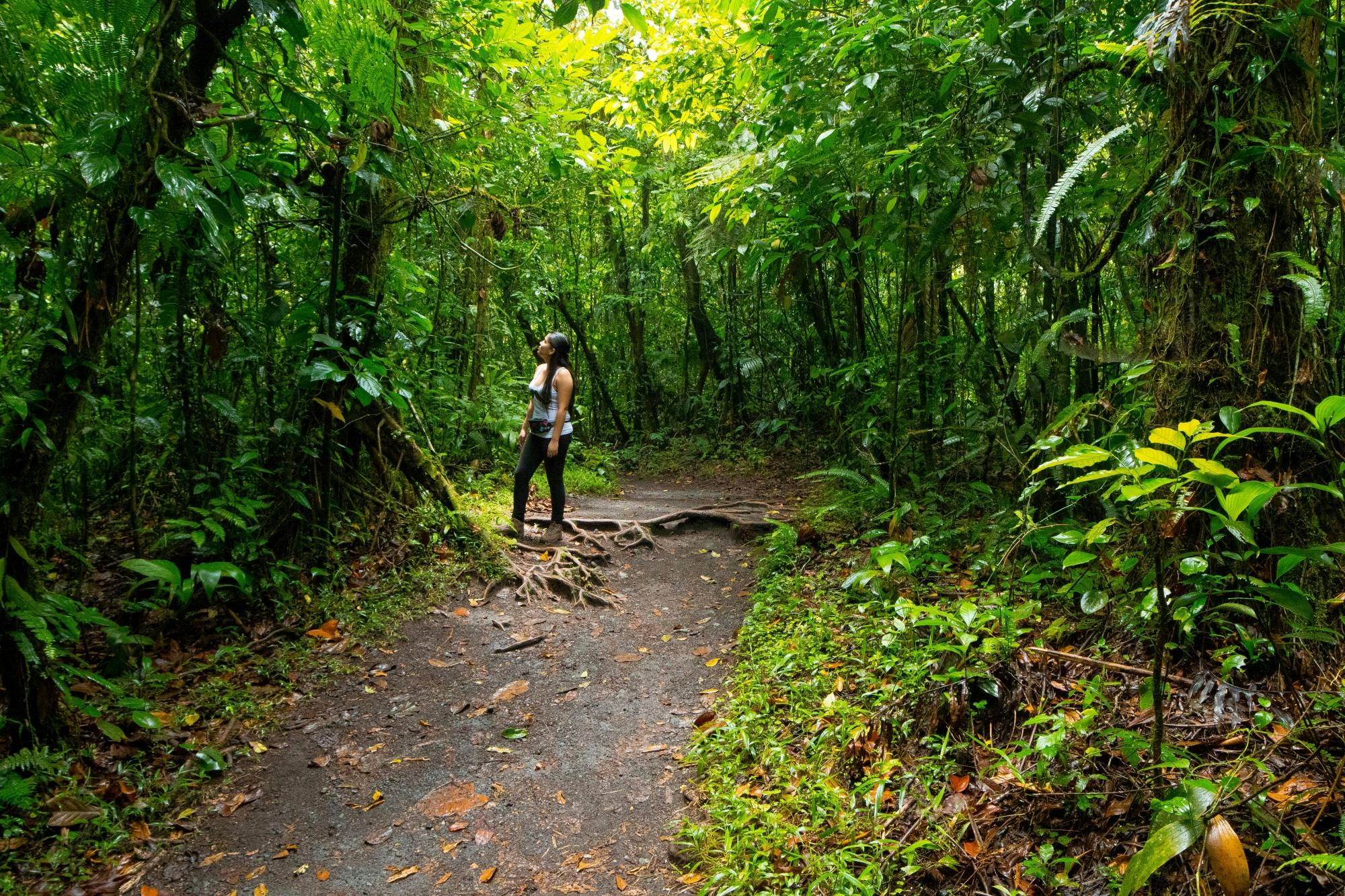 Arenal Hanging Bridges & La Fortuna Waterfall