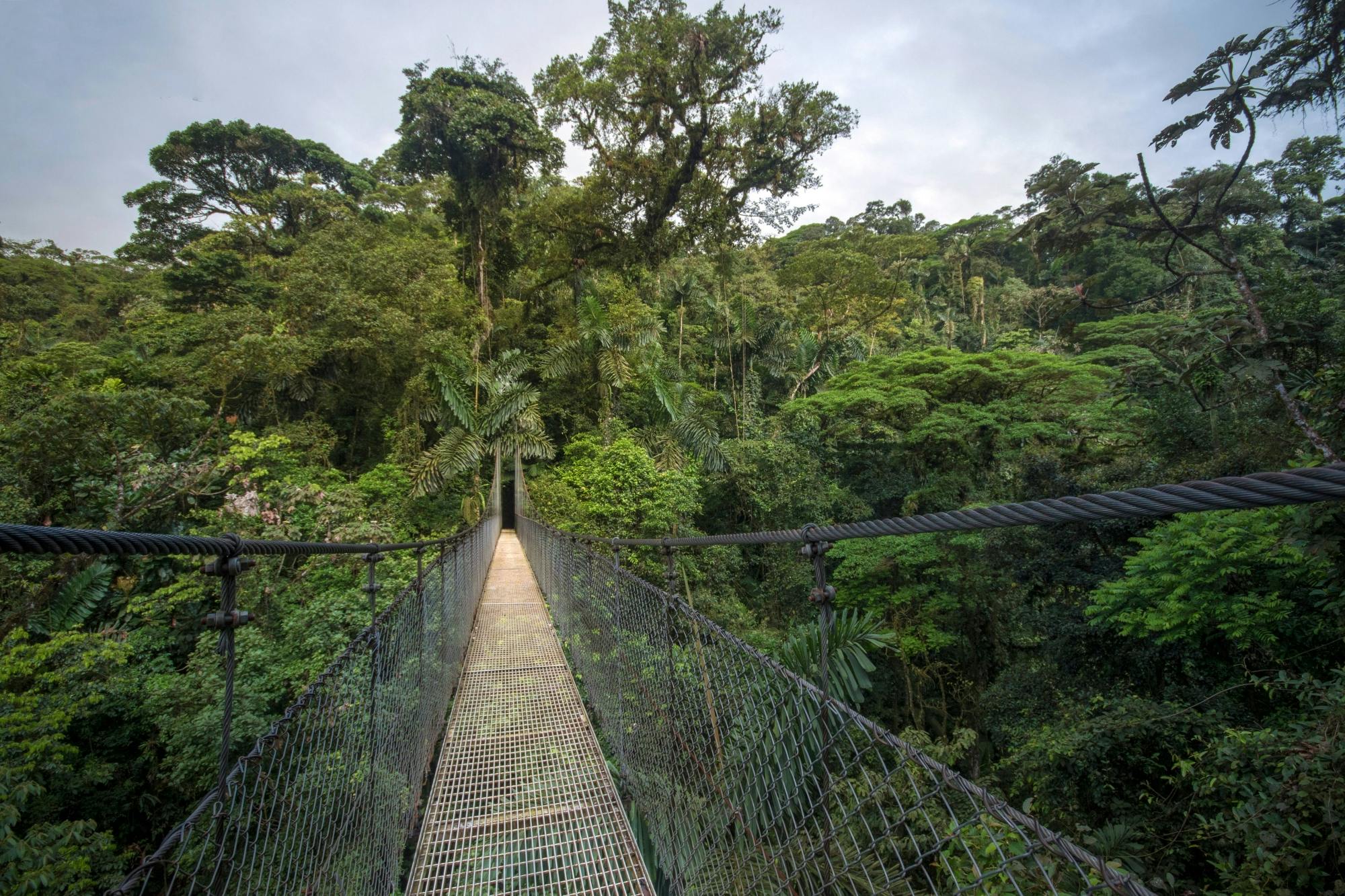 Arenal Hanging Bridges & La Fortuna Waterfall