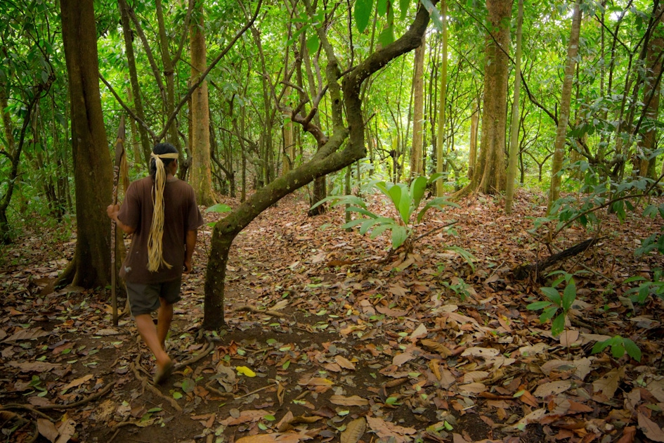 Arenal Folklore, Legends & Cultural Tours