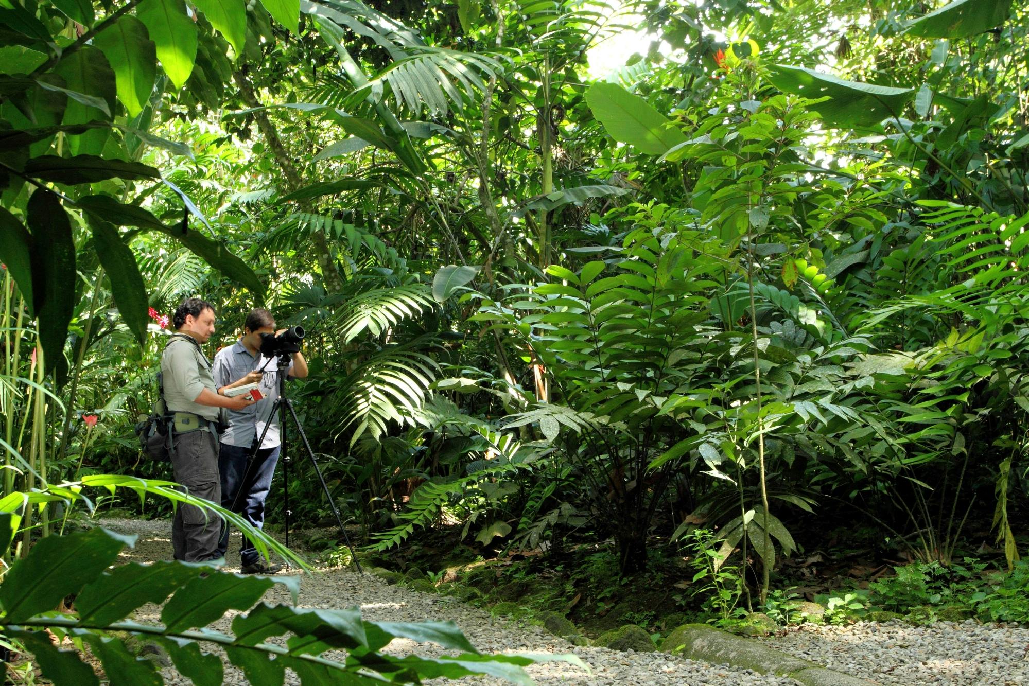 Ecologisch Park en Vlindertuin Danaus Ochtend