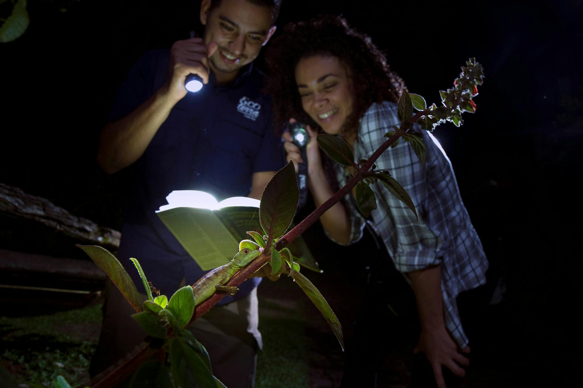 Costa Rican nocturnal experience with traditional dinner