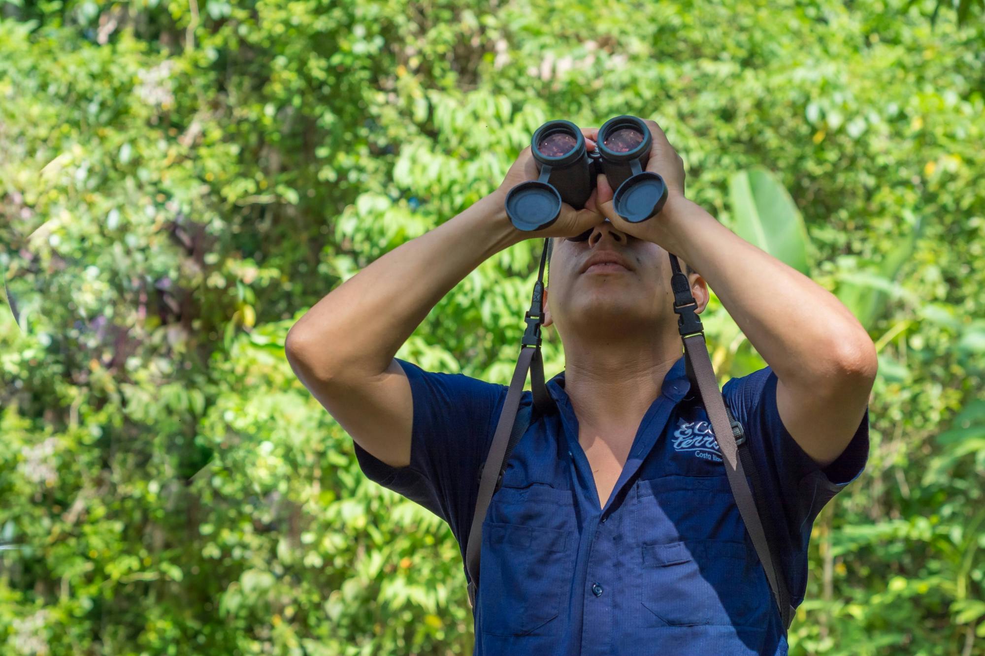 Passeio de observação de preguiças