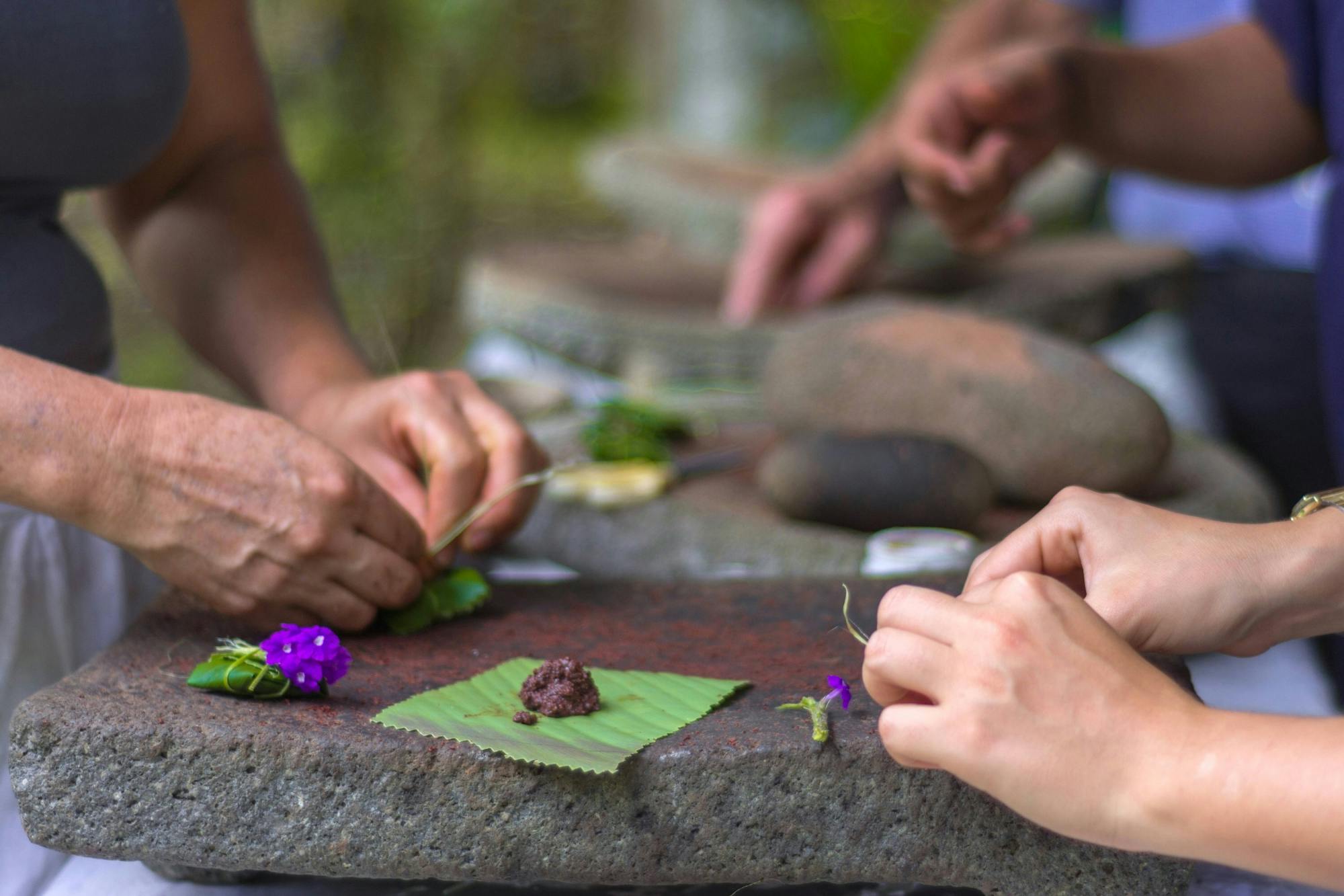 Costa Rican Campesino Farm Experience