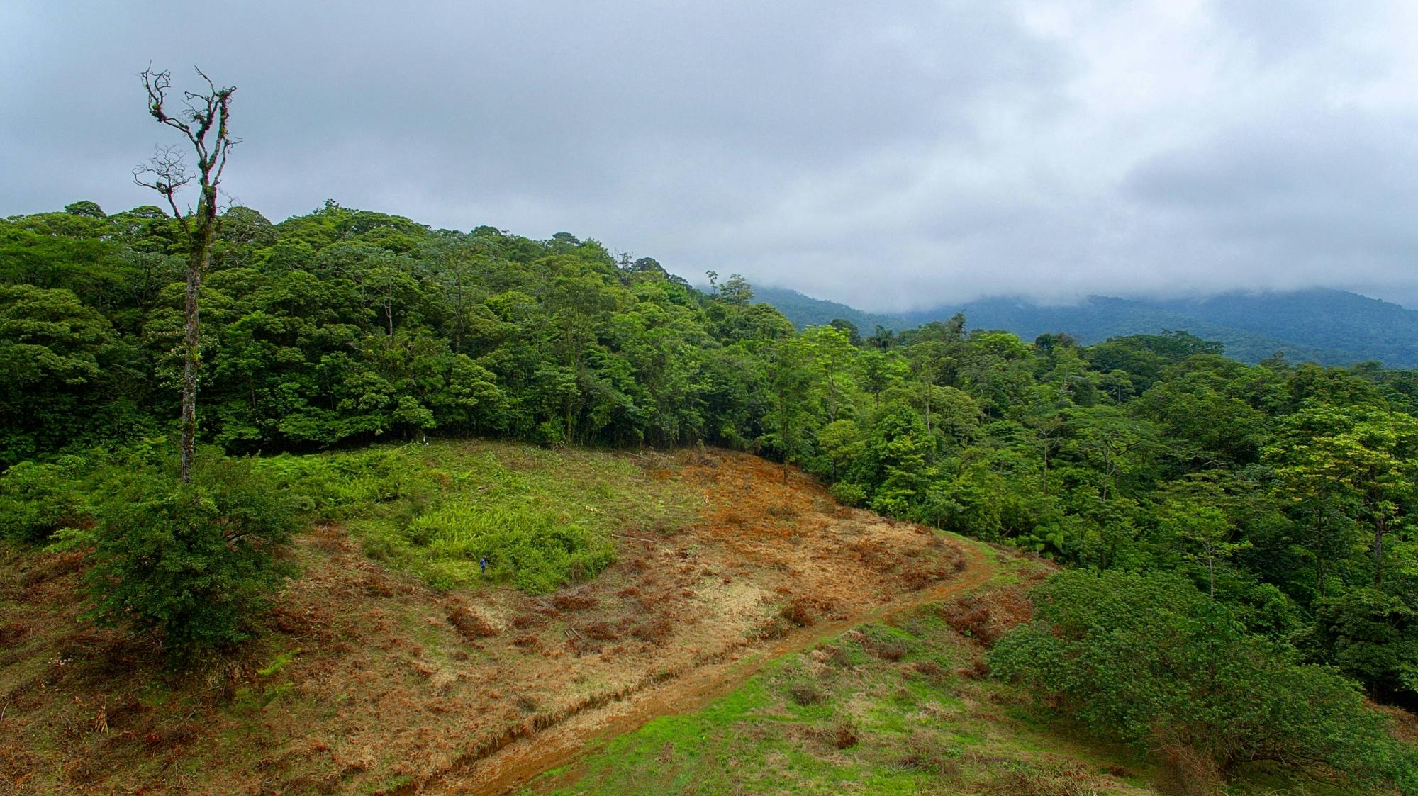 La Tigra Forest Tree Planting and Agroecological Farm Tour