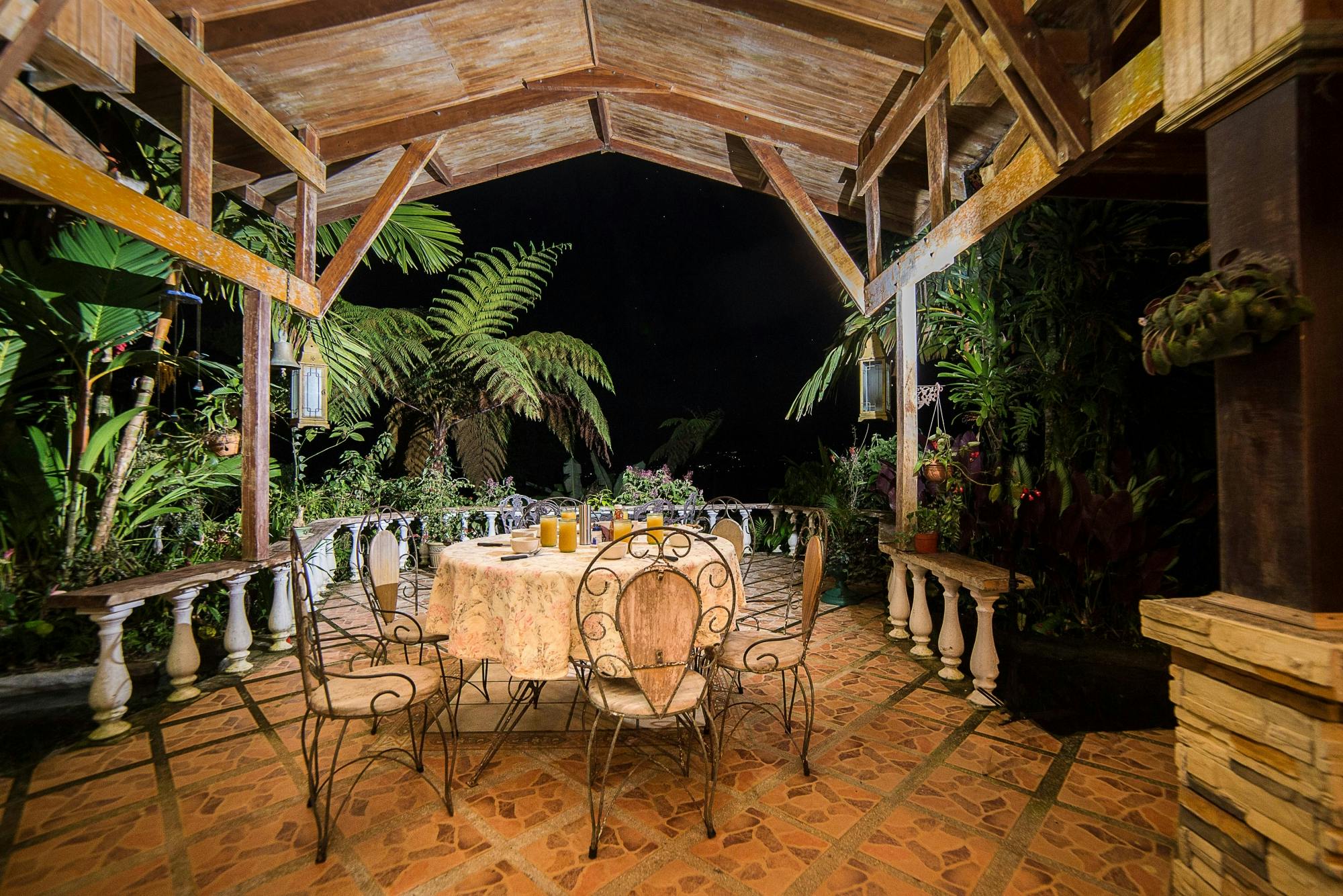 Costa Rican nocturnal experience with traditional dinner