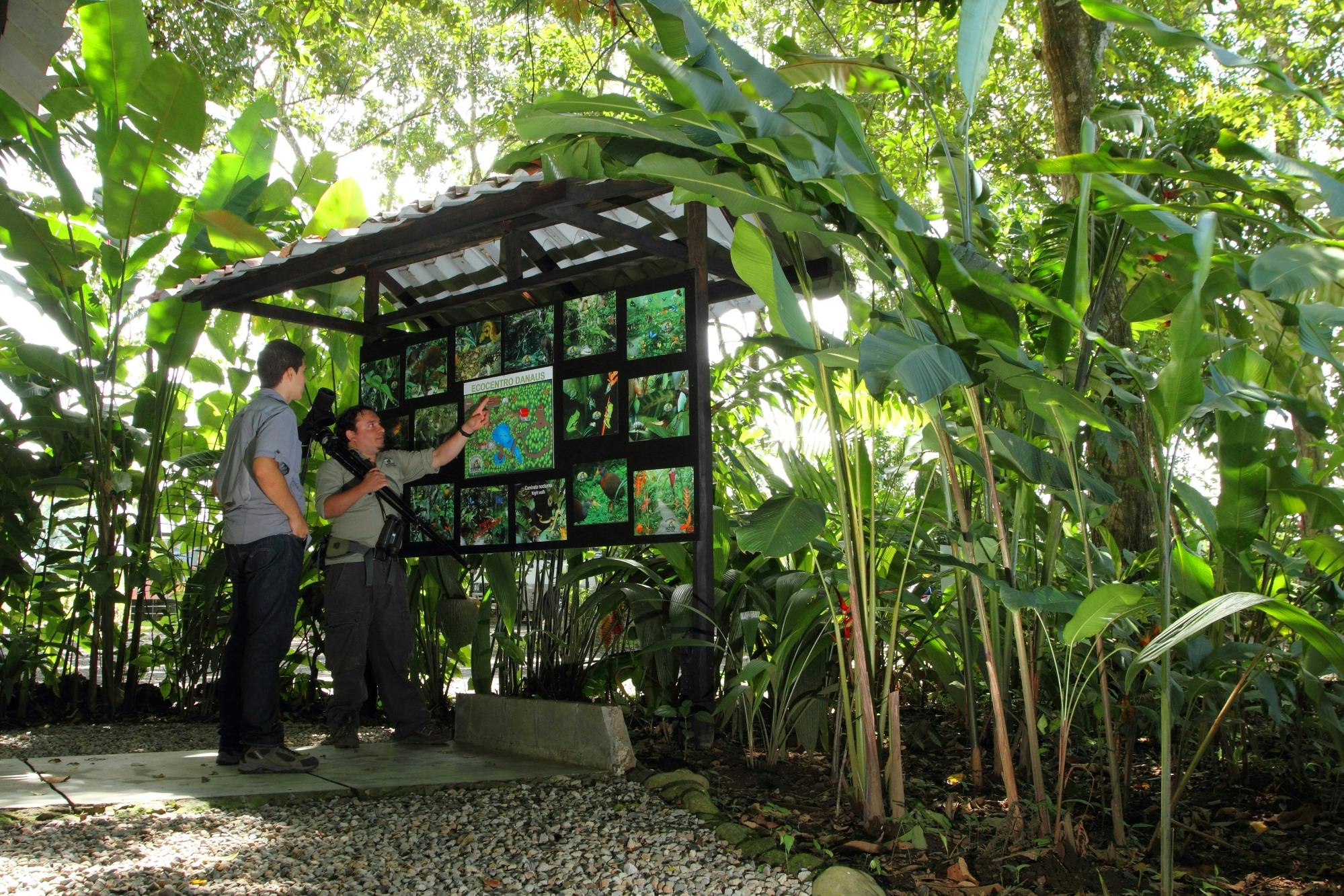 Ecological Park and Butterfly Garden Danaus Morning