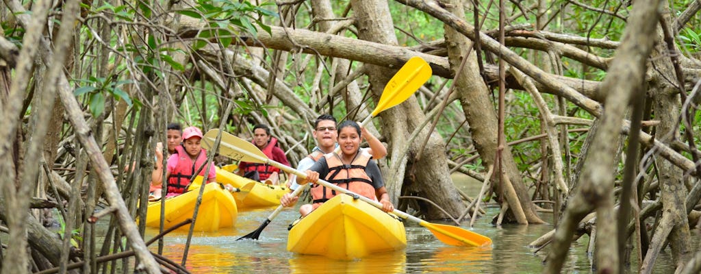 Damas Island Kayak Tour