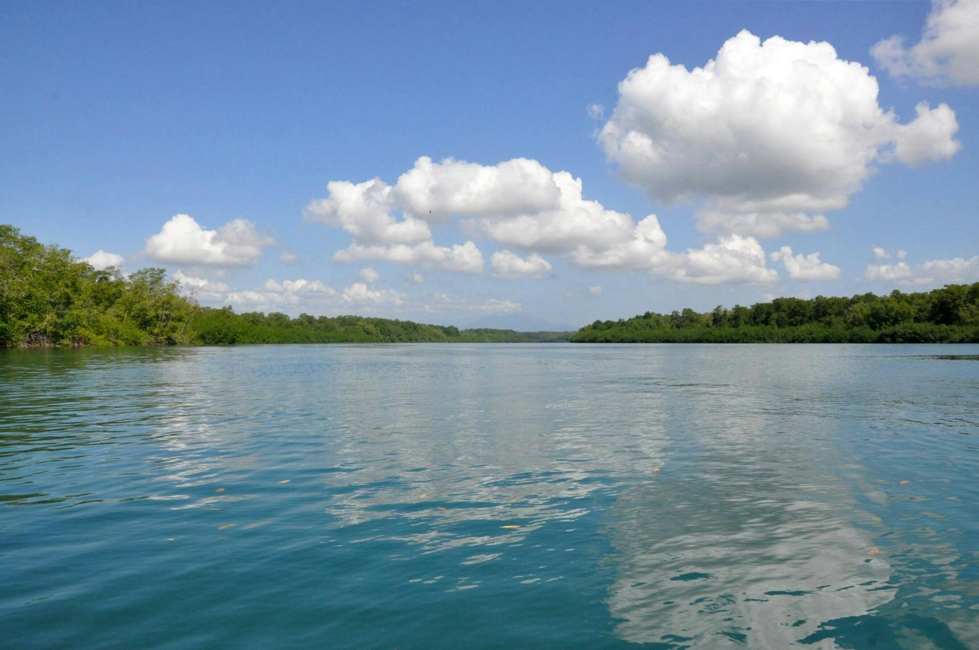 Damas Island Boat Tour