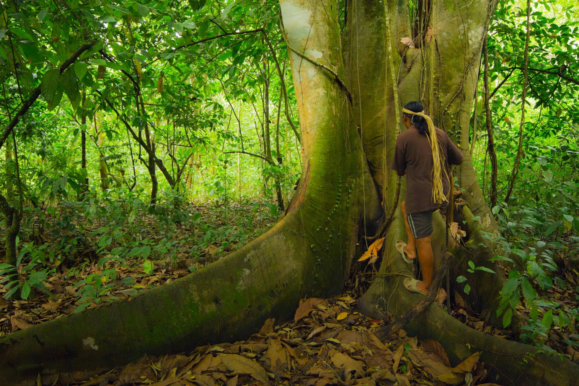 Maleku Indigenous Reserve