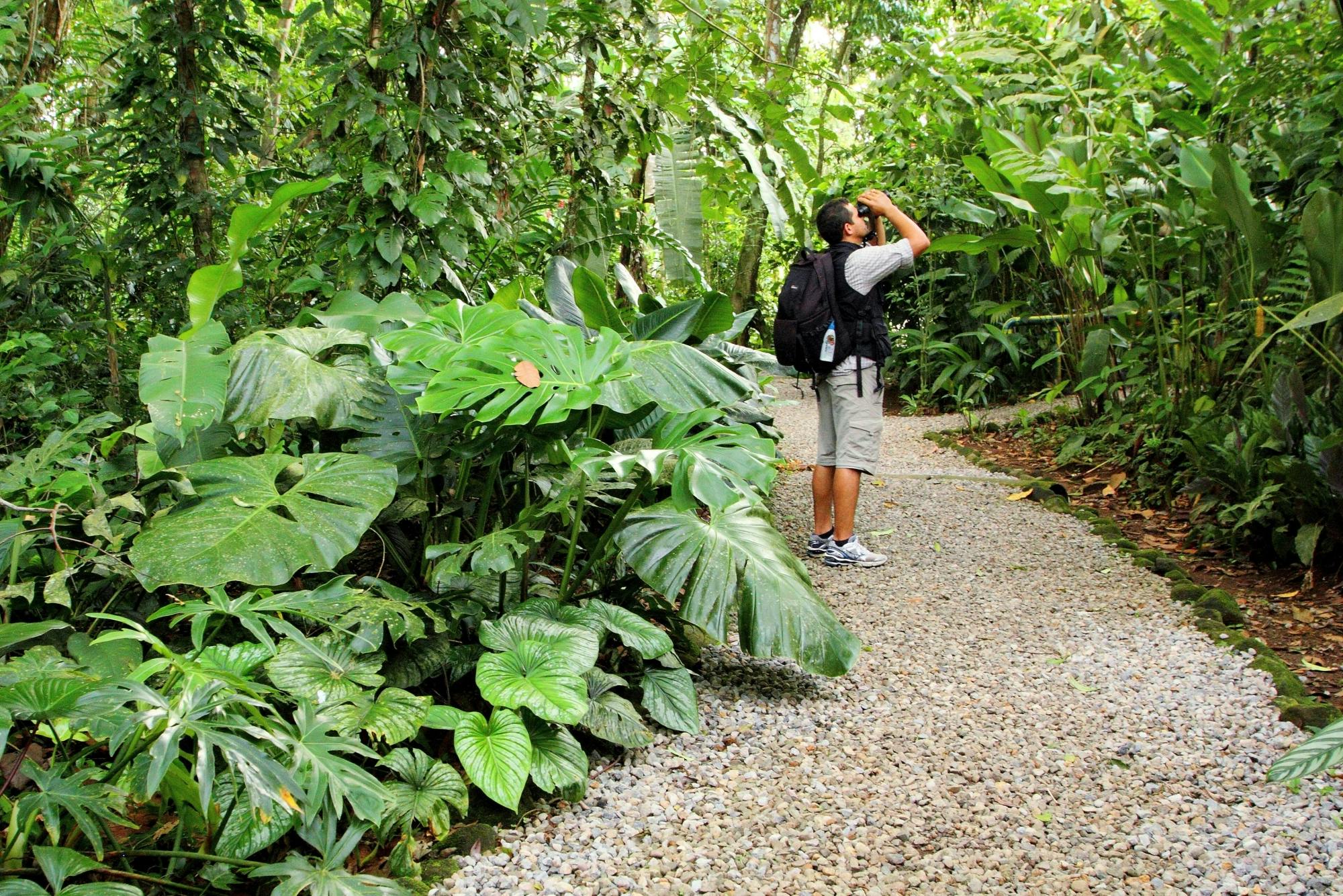 Ecological Park and Butterfly Garden Danaus Morning