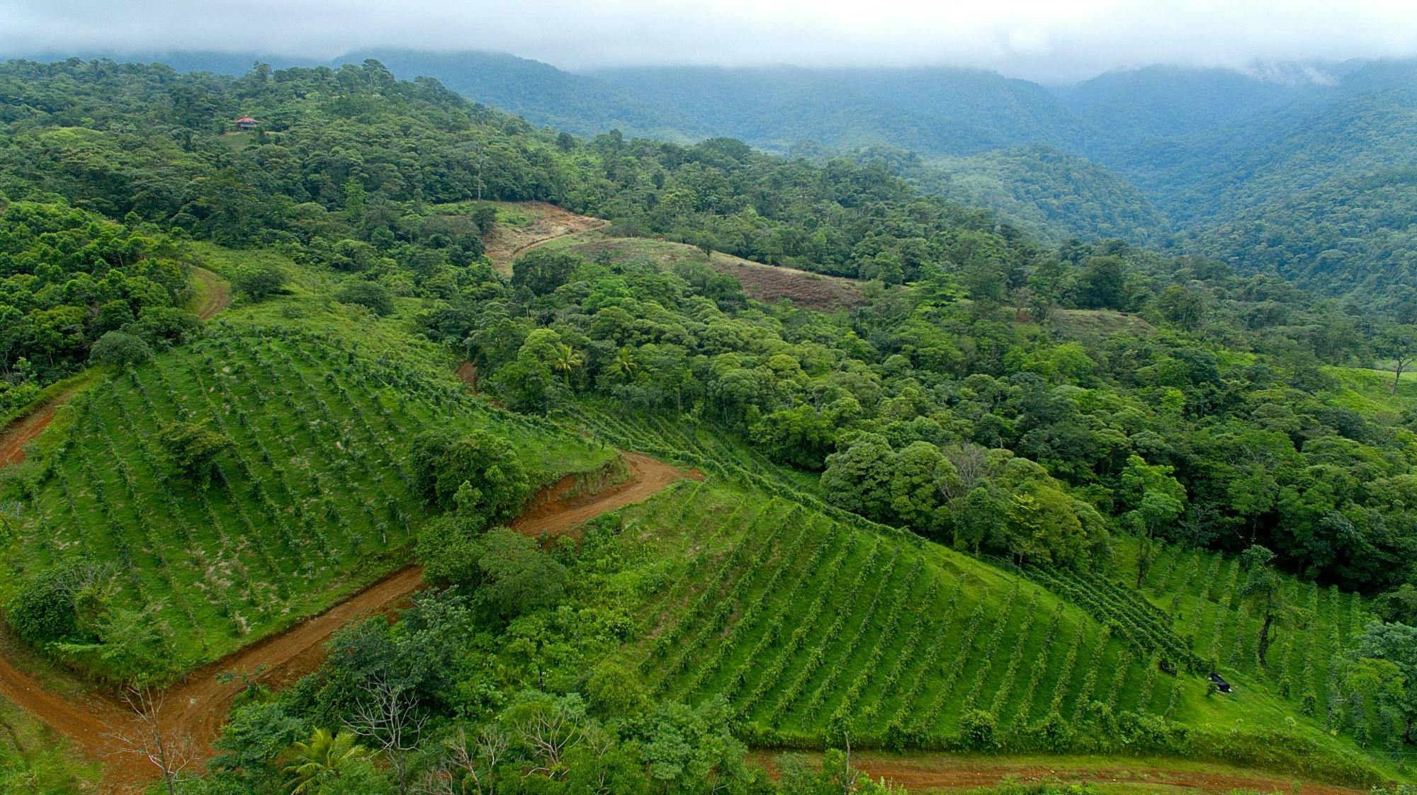 La Tigra Forest Tree Planting and Agroecological Farm Tour