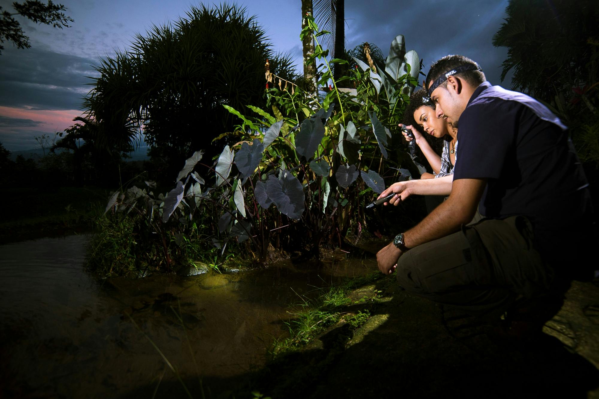 Costa Rican nocturnal experience with traditional dinner