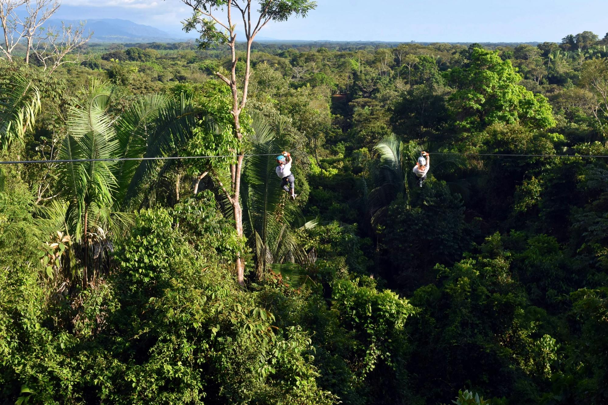 Excursión en Titi Canopy