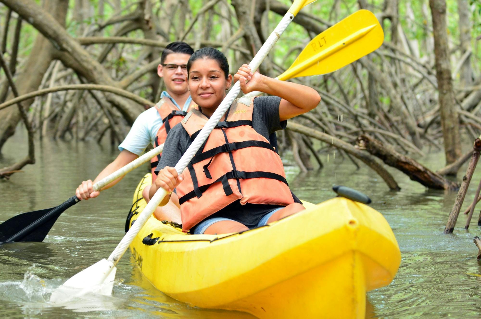 Damas Island Kayak Tour