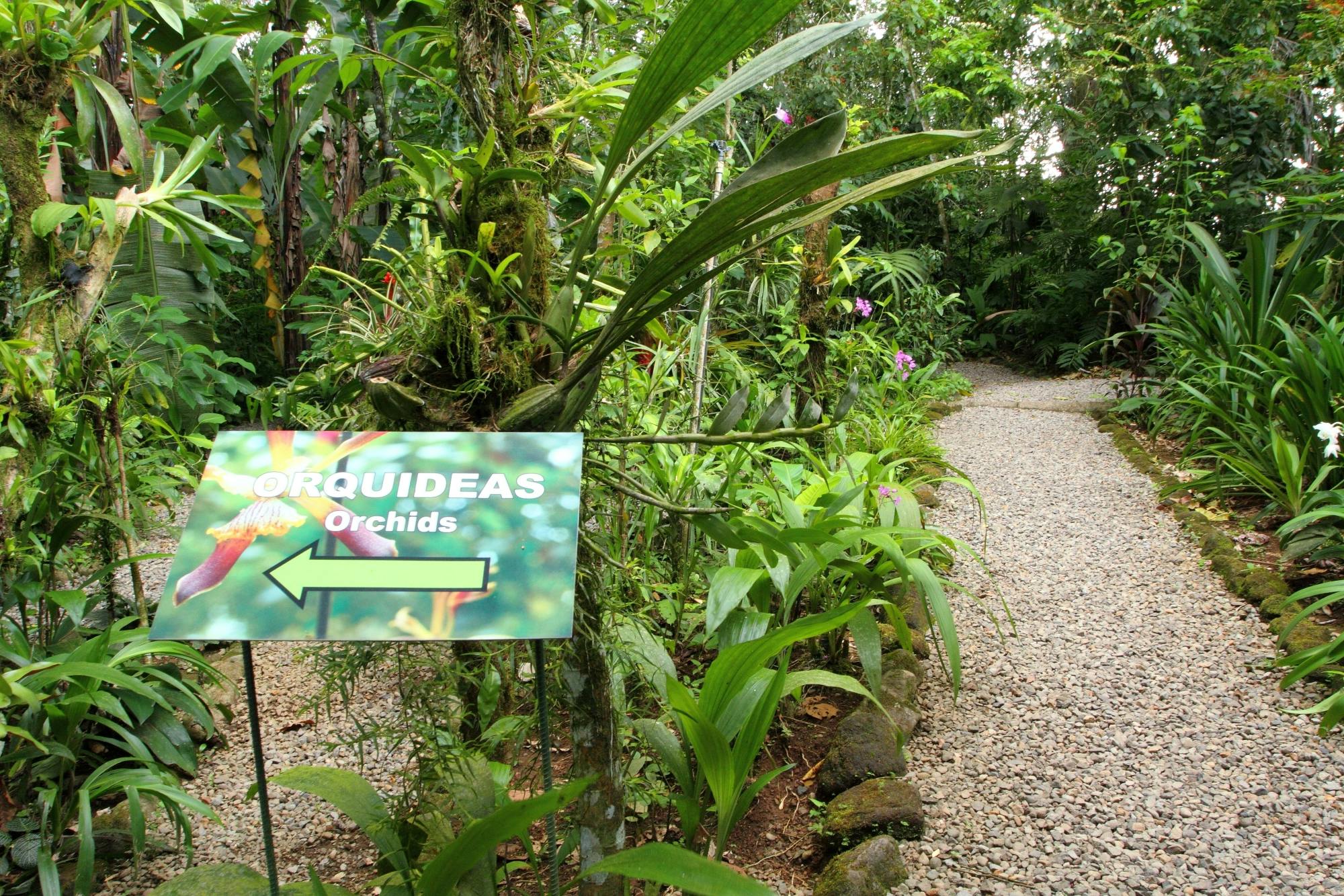 Ecological Park and Butterfly Garden Danaus Morning