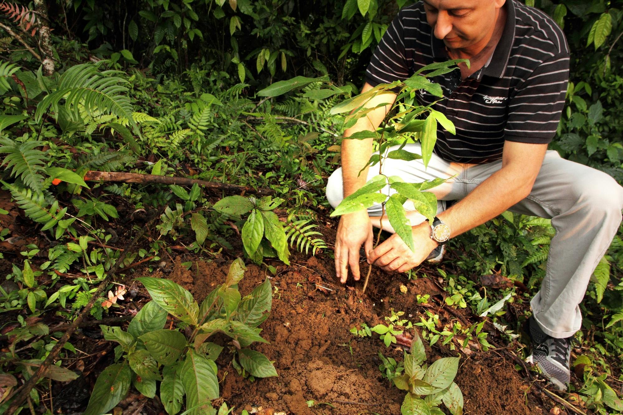 La Tigra Forest Tree Planting and Agroecological Farm Tour