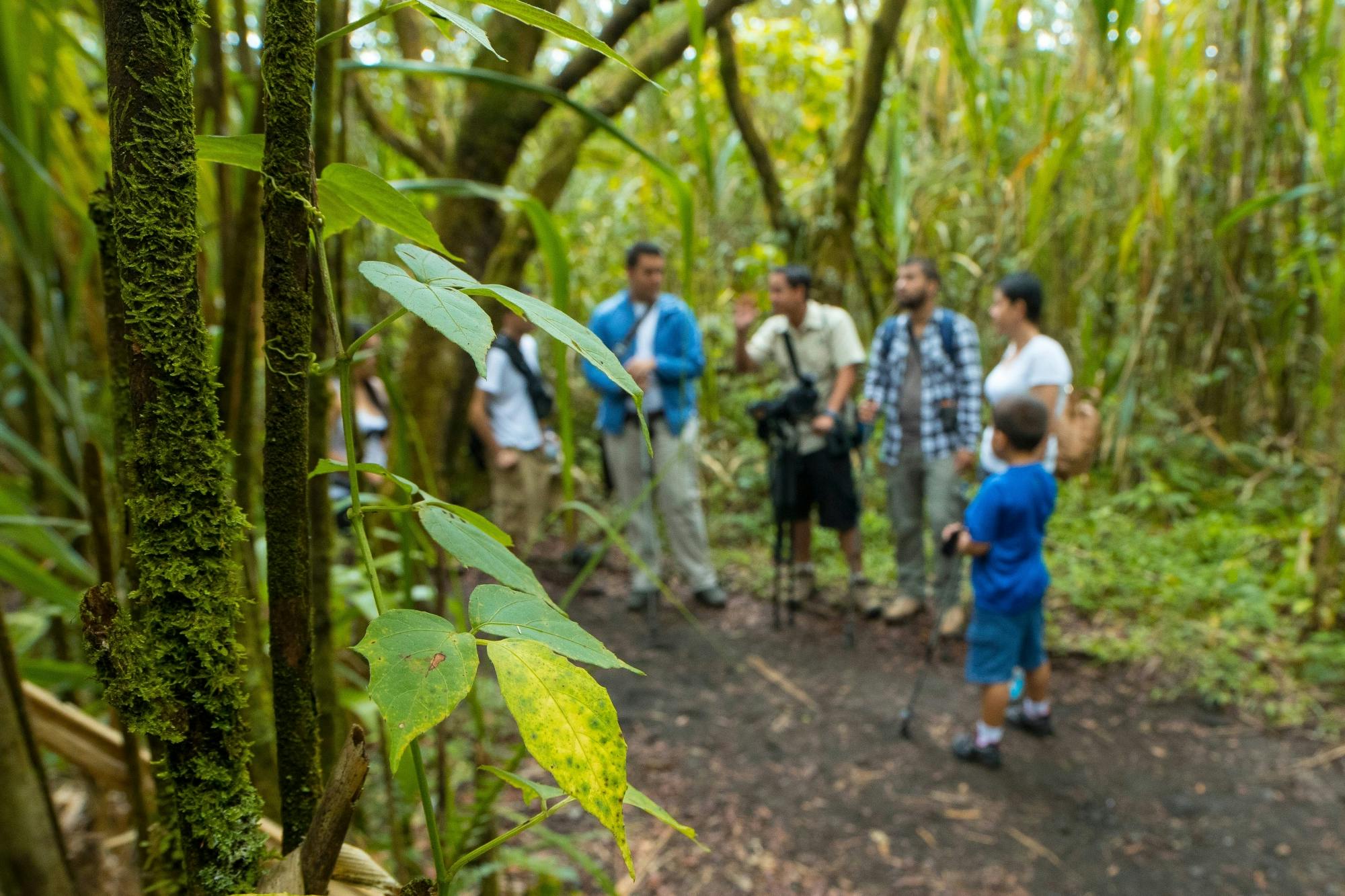 Arenal Volcano National Park Hike with Boat Ride