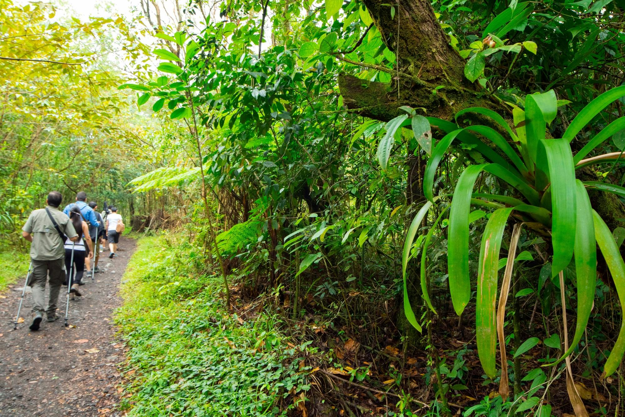 Arenal Volcano National Park Hike with Boat Ride