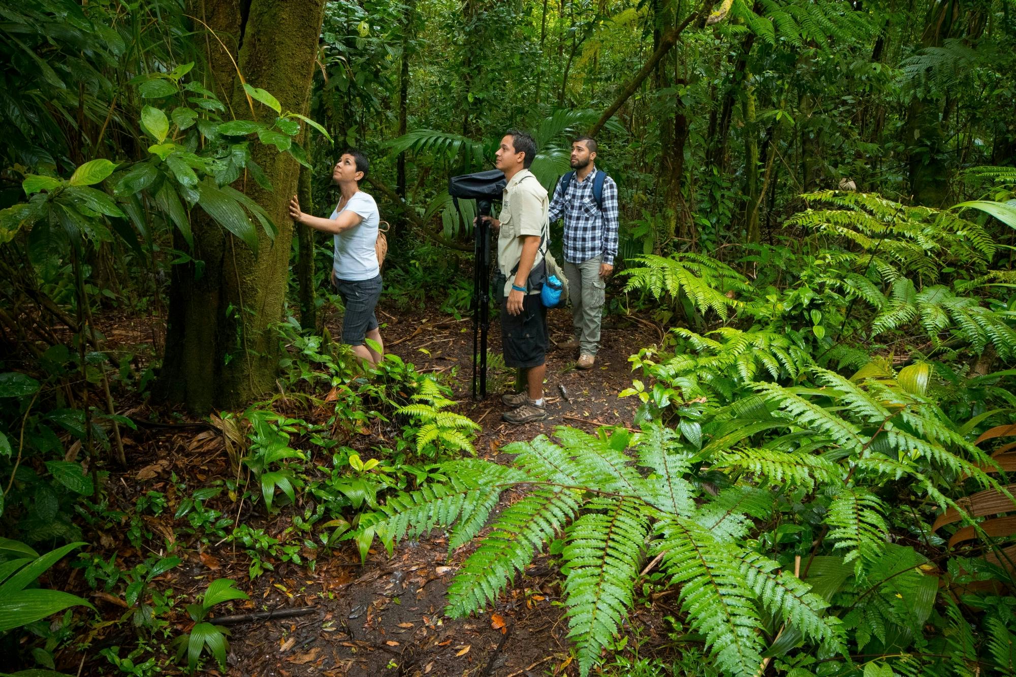 Arenal Volcano National Park Hike with Boat Ride