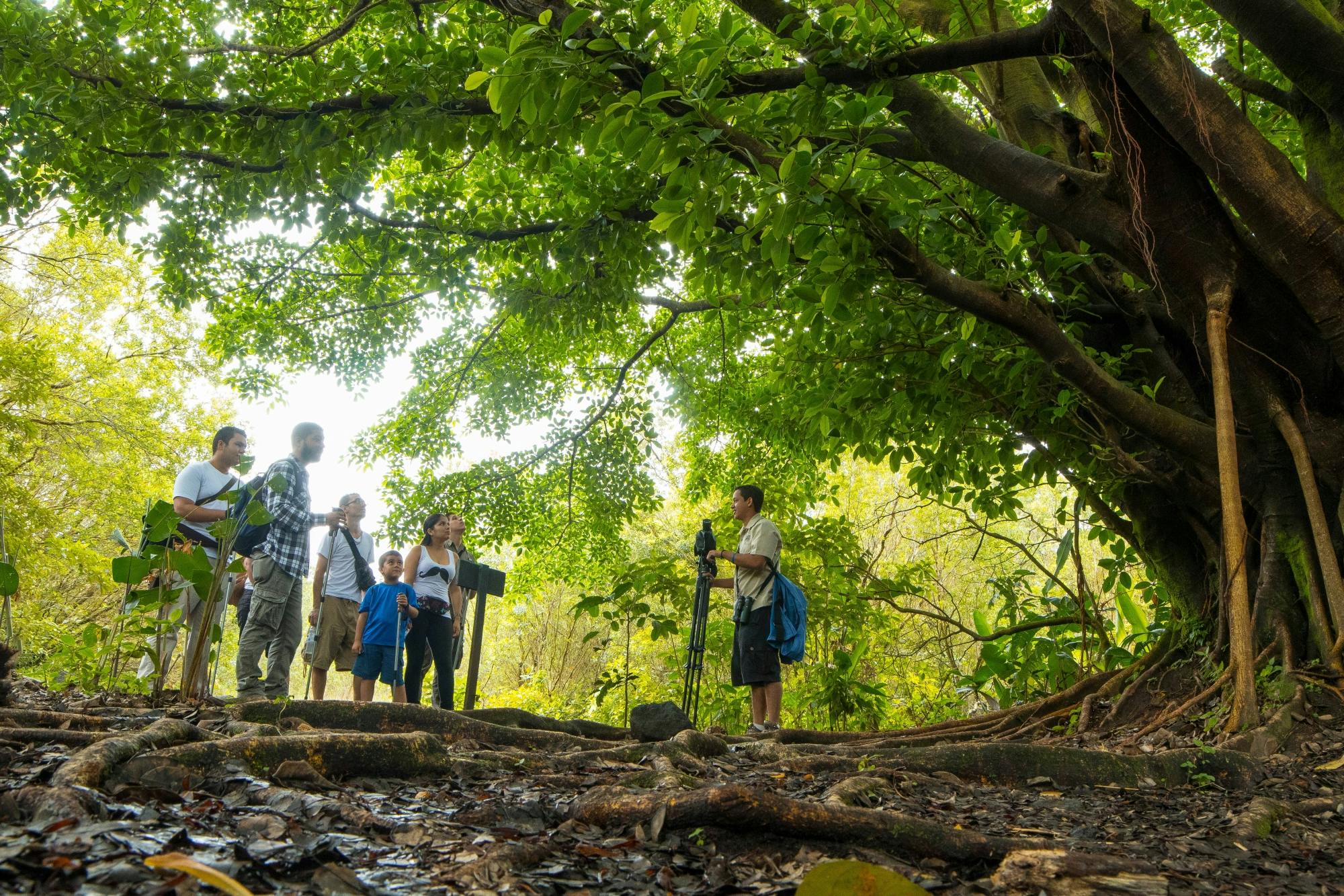 Arenal Volcano National Park Hike with Boat Ride