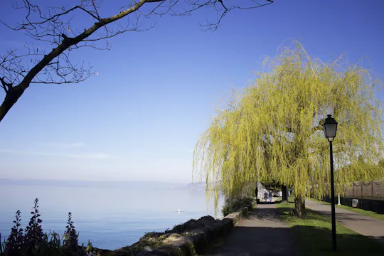 Recorrido por los lugares instagrameables de Montreux con un local