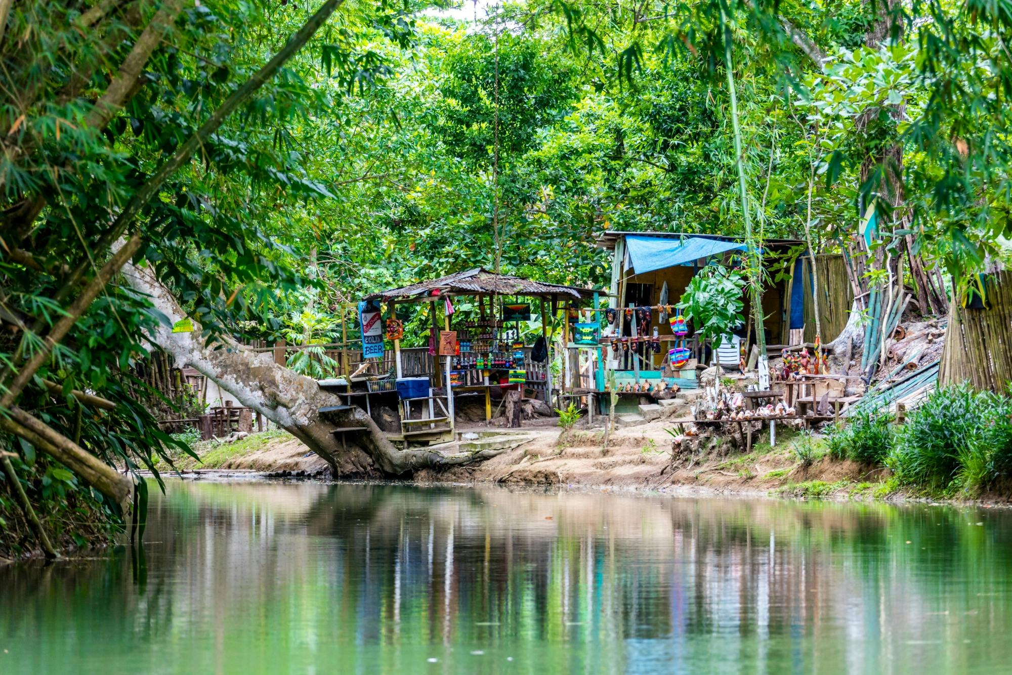 Martha Brae Rafting & Luminous Lagoon Tour with Dinner